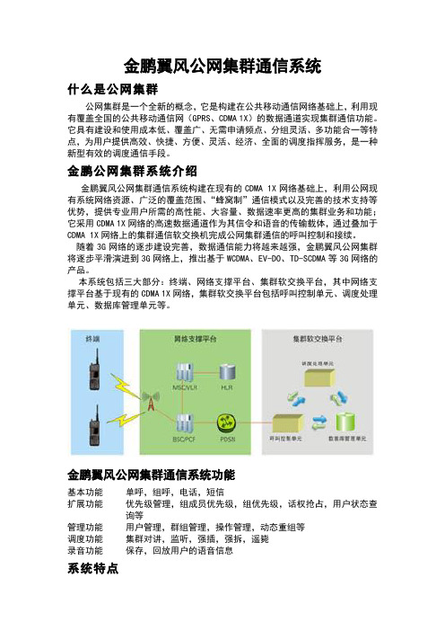 金鹏翼风公众网集群系统