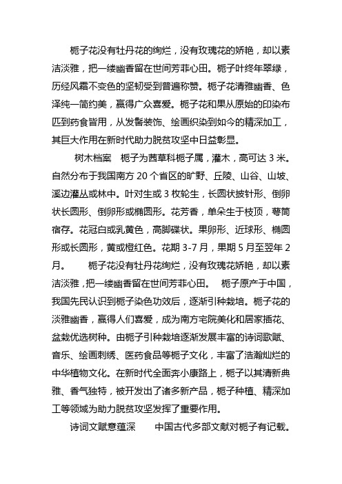 栀子花物语