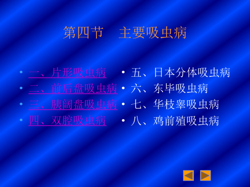 肝片形吸虫