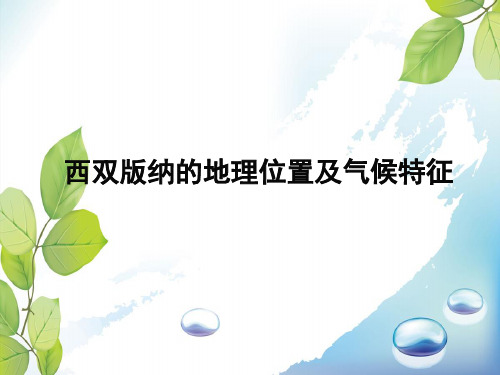 西双版纳的地理位置及气候特征
