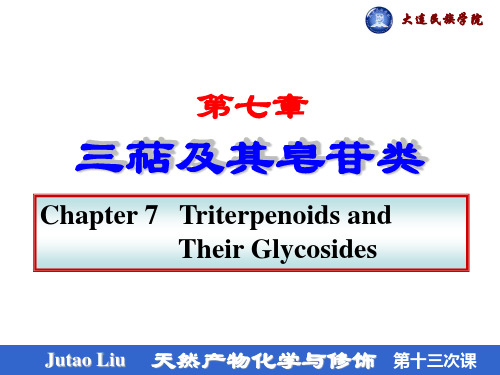 第七章 三萜及其皂苷类