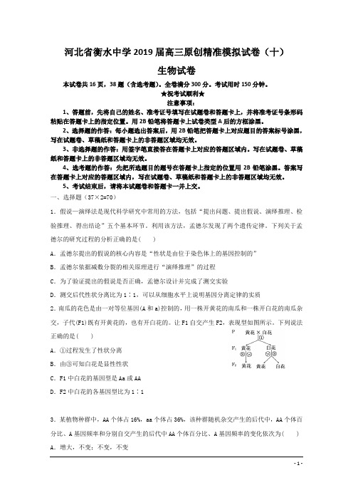 河北省衡水中学2019届高三原创精准模拟试卷(十)生物试卷