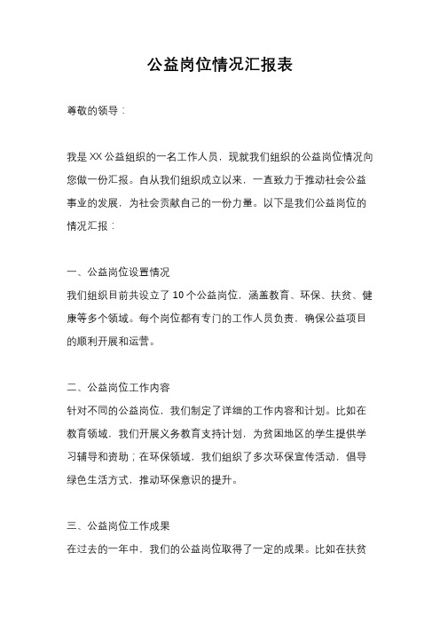 公益岗位情况汇报表