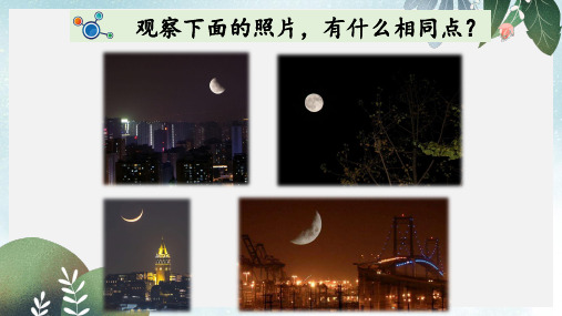 二年级科学上册1.4观察月相课件教科版(2)