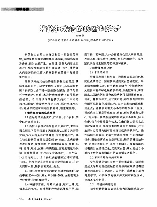 猪伪狂犬病的诊断和治疗