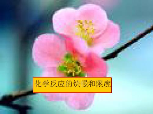 化学课件《化学反应的快慢和限度》优秀ppt 鲁科版