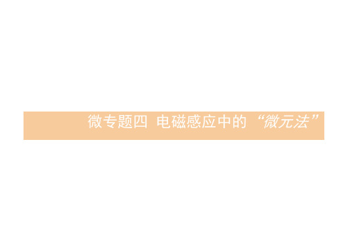 (浙江专用)高考物理大二轮复习微专题4电磁感应中的“微元法”课件