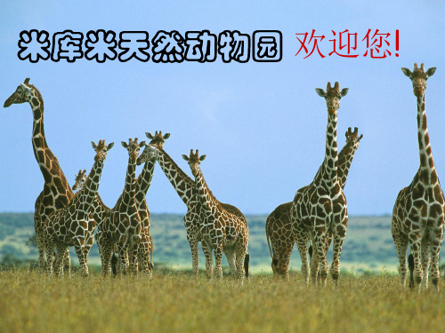 五年级下册语文课件-6.1 游天然动物园｜鄂教版 (共35张PPT)