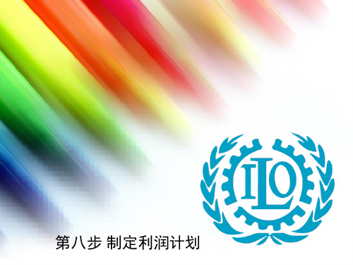 SYB(第八步)制定利润计划