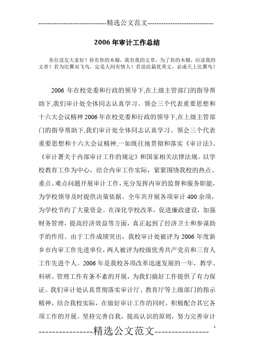 2006年审计工作总结