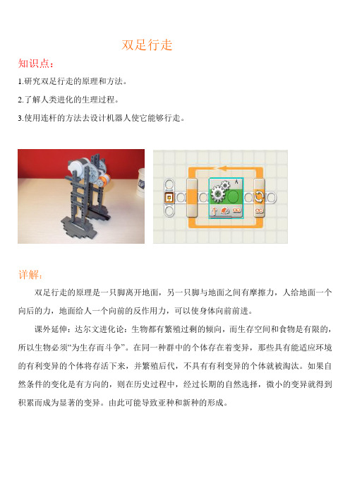 儿童少儿机器人培训 动物仿生学知识点双足行走