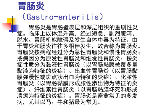02胃肠炎(Gastro-enteritis)