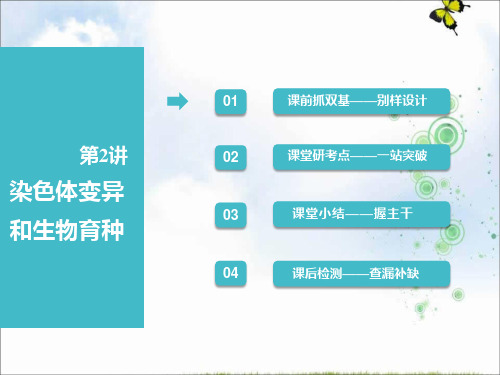 2019届高考全国卷人教版生物一轮复习课件：必修2 第三单元 第2讲 染色体变异和生物育种