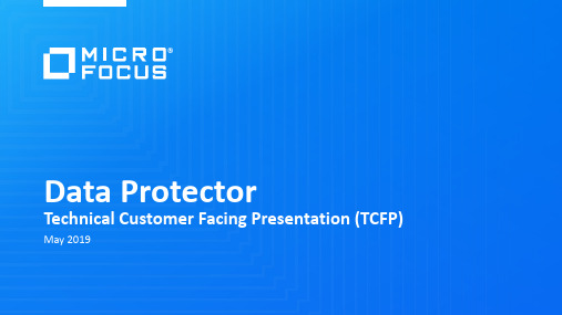 Data_Protector_TCFP_2019_技术演示