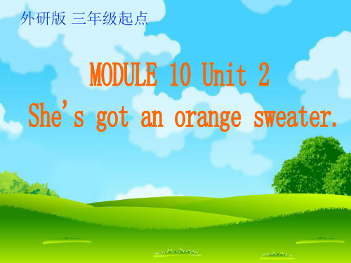 三年级英语下册课件-Module 10 Unit 2 She's got an orange sweater4-外研版（三起）