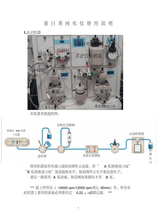 蛋白质纯化仪的使用(1)资料