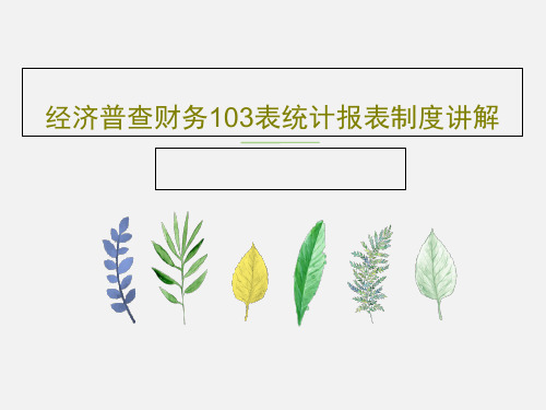 经济普查财务103表统计报表制度讲解68页PPT
