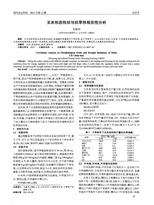 玉米形态性状与抗旱性相关性分析