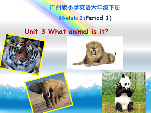 《Unit 3 What animal is it ？课件》小学英语教科2011课标版三年级起点六年级下册课件ppt