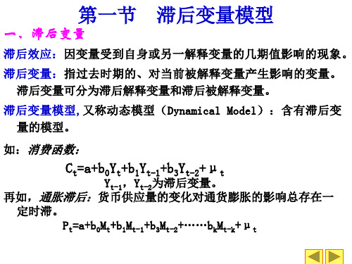 第七章滞后变量