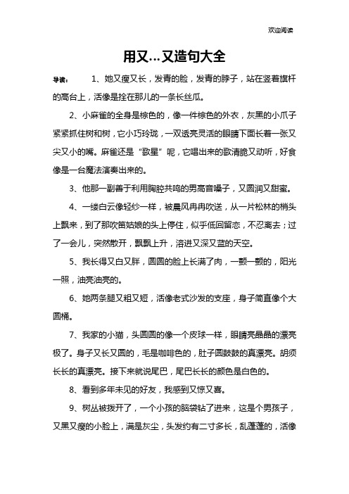 用又…又造句大全