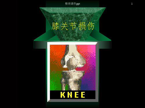 《膝关节幻灯》PPT课件