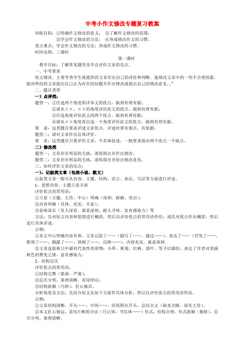 中考语文 作文修改专题复习教案 人教新课标版