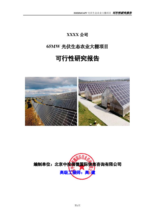 65MW光伏生态农业大棚项目可行性研究报告