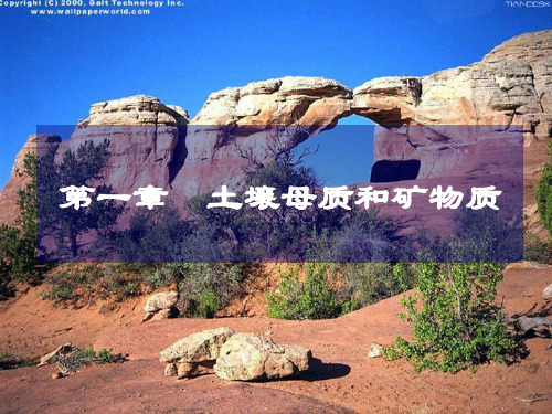 2第一章 土壤母质及矿物质