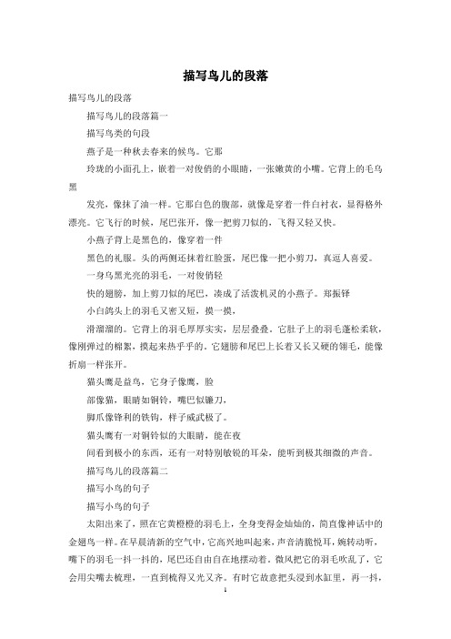 描写鸟儿的段落