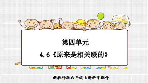 教科版科学六年级上册第四单元4.6《原来是相关联的》PPT课件