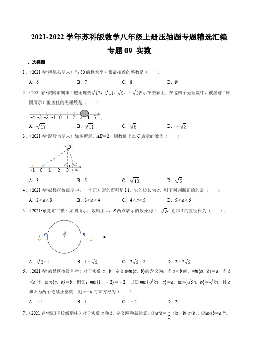 专题09 实数(原卷版)21-22年八年级数学上册专题(苏科版)