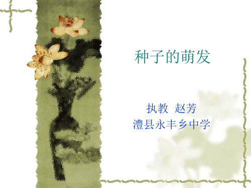 种子的萌发 说课课件