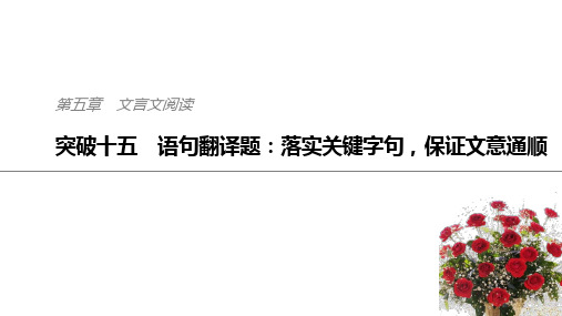 2019届高三二轮复习 文言翻译之特殊句式 课件(29张)