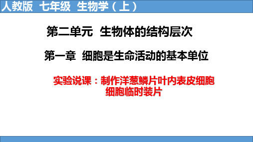 洋葱鳞片叶内表皮细胞临时装片说课