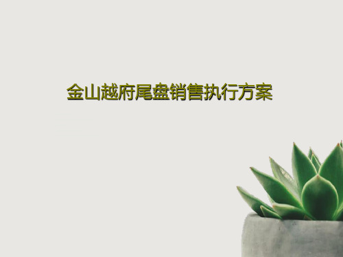 金山越府尾盘销售执行方案41页PPT