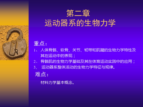 运动器系的生物力学