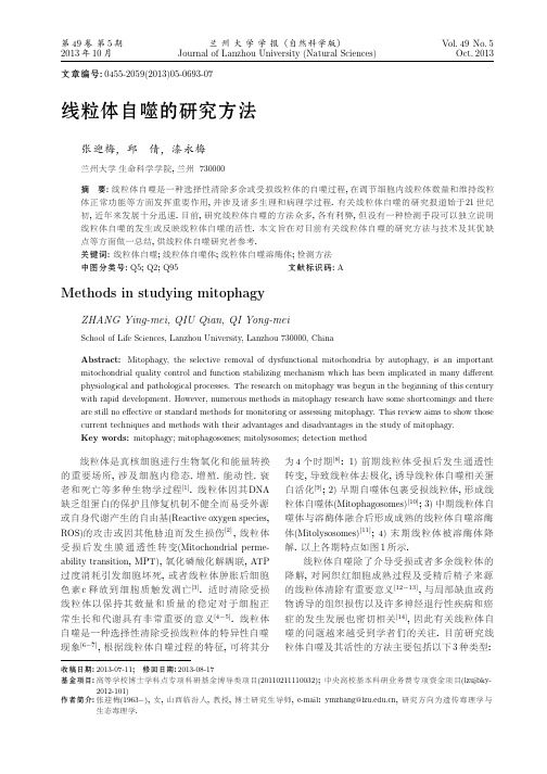 汉恒生物线粒体自噬的研究方法