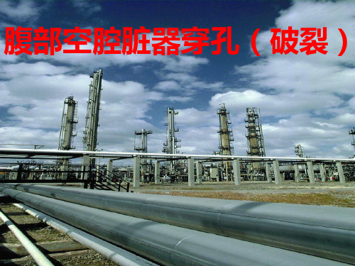 空腔脏器穿孔PPT课件