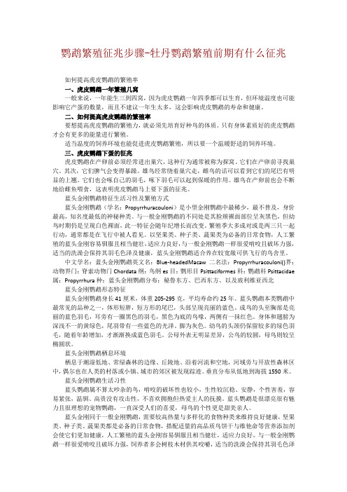 鹦鹉繁殖征兆步骤-牡丹鹦鹉繁殖前期有什么征兆