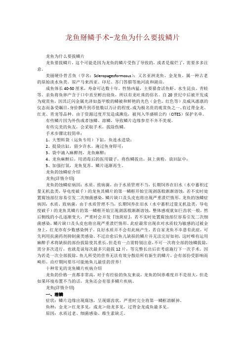 龙鱼掰鳞手术-龙鱼为什么要拔鳞片