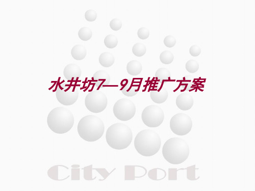 水井坊高档白酒品牌推广方案PPT课件