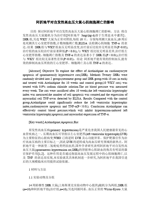 阿折地平对自发性高血压大鼠心肌细胞凋亡的影响