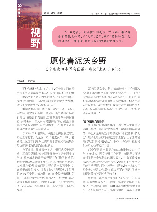 愿化春泥沃乡野——辽宁省沈阳市浑南区第一书记“上山下乡”记