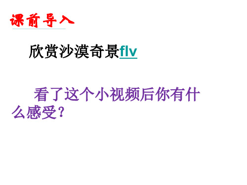 沙漠里的奇怪现象PPT