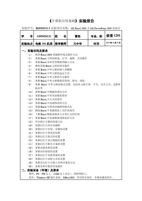 计算机应用基础实验三