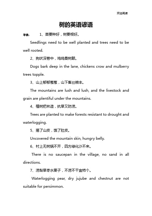 树的英语谚语