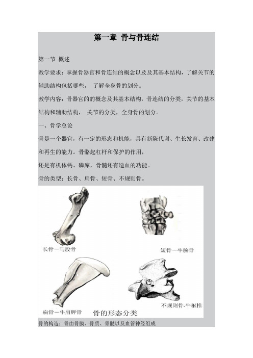 最新整理、吉林动物解剖学教案：第一章骨与骨连结01(农林类)畜牧兽医)