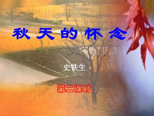 秋天的怀念第二课时