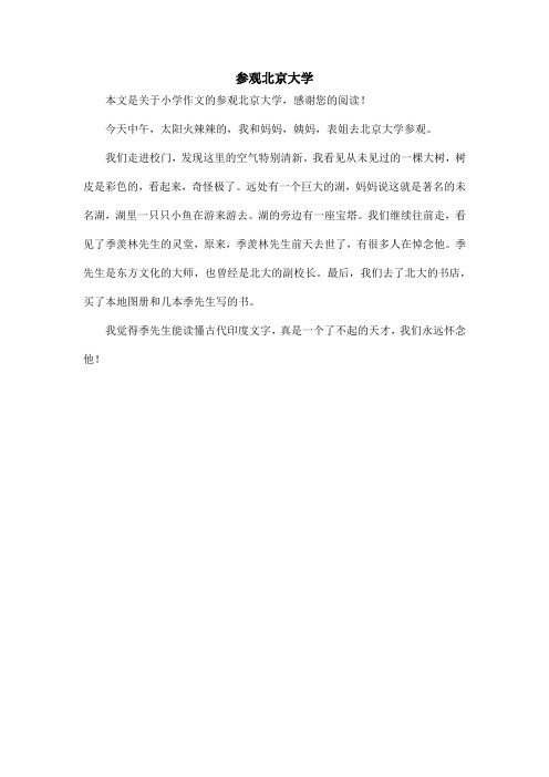 参观北京大学_小学作文_1